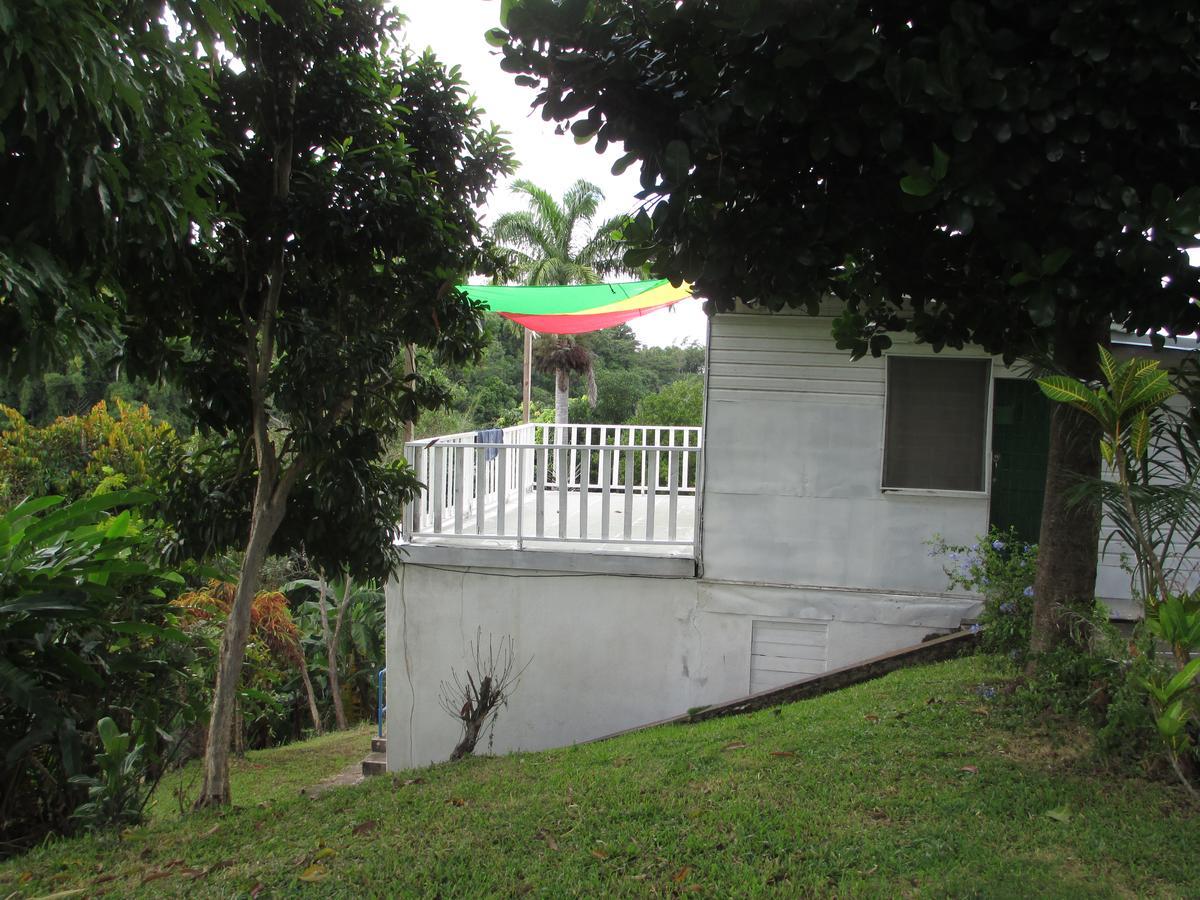 קינגסטון Kingsworth Bed And Breakfast מראה חיצוני תמונה