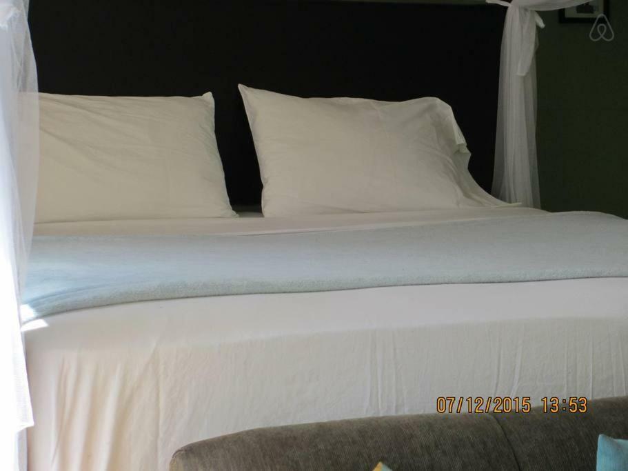 קינגסטון Kingsworth Bed And Breakfast מראה חיצוני תמונה